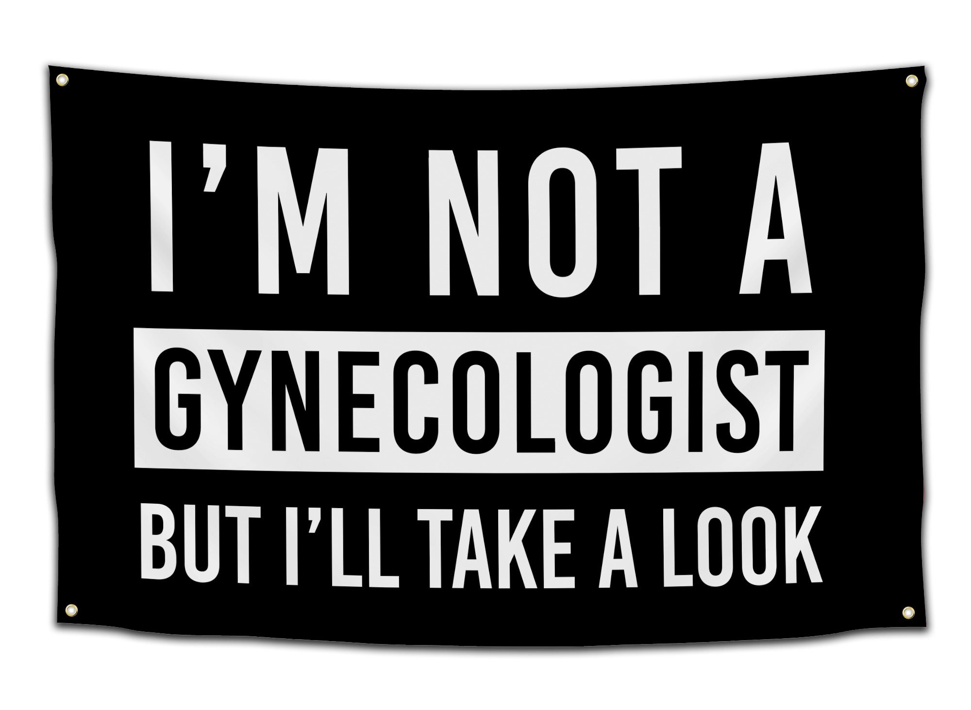 Funny college flag saying “I’m not a gynecologist but I’ll take a look” – bold dorm decoration from CollegeWares.