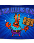Blue psychedelic flag with a cartoon crab holding a “Entering Rock Bottom” sign and text reading “Are You Feeling It Now?” — funny rave and stoner dorm flag for meme lovers from CollegeWares.