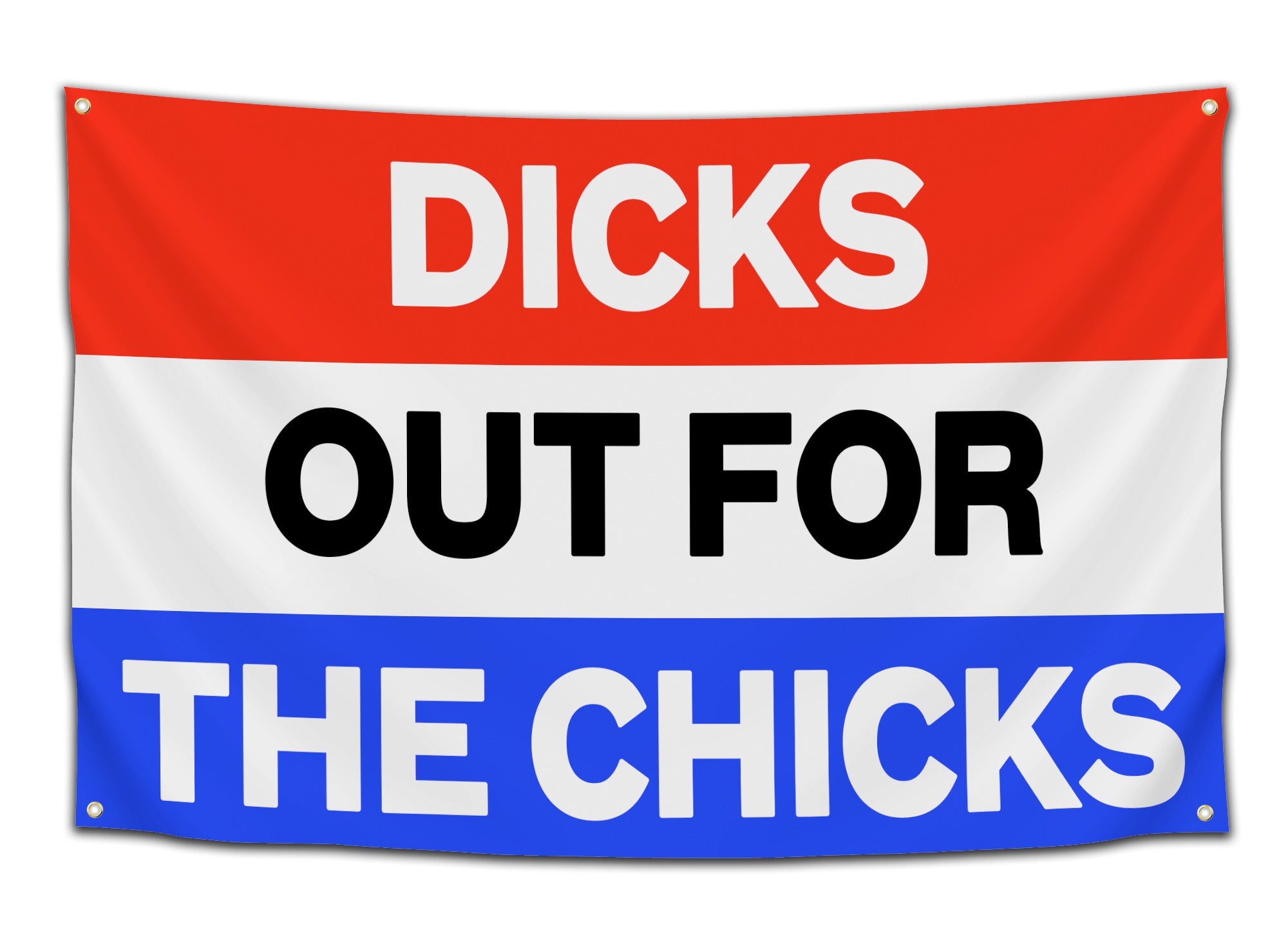 Red, white, and blue flag that says “DICKS OUT FOR THE CHICKS” – bold and hilarious party decor from CollegeWares.