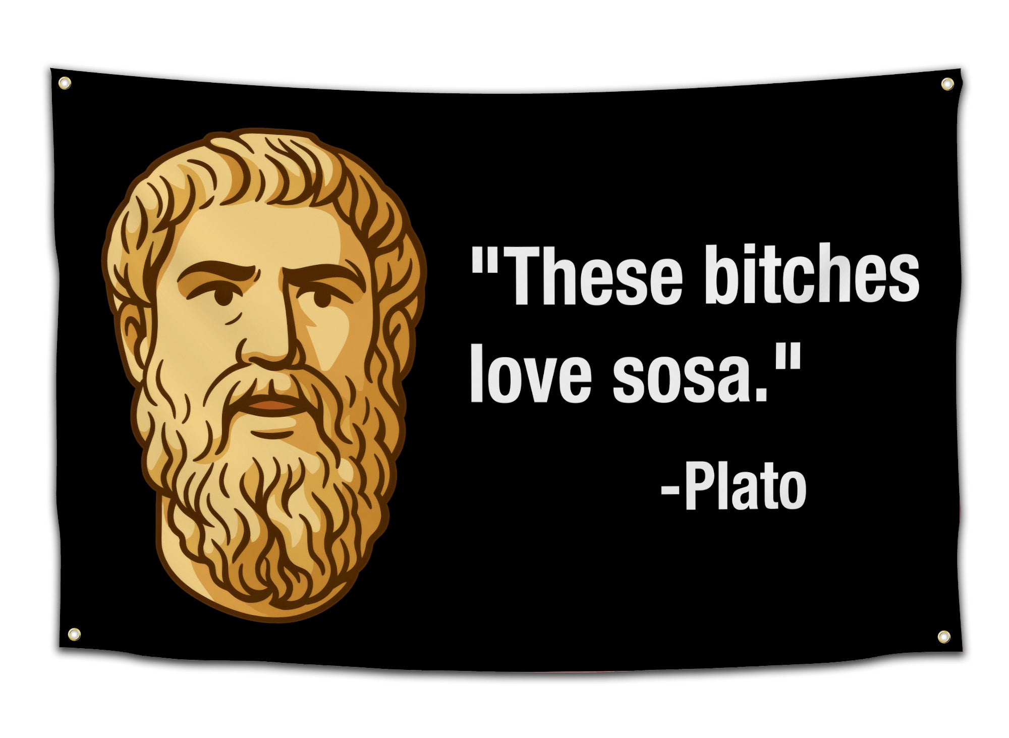Black flag with a golden illustrated philosopher bust and text reading “These bitches love Sosa – Plato” — funny dorm and meme flag for college students from CollegeWares.