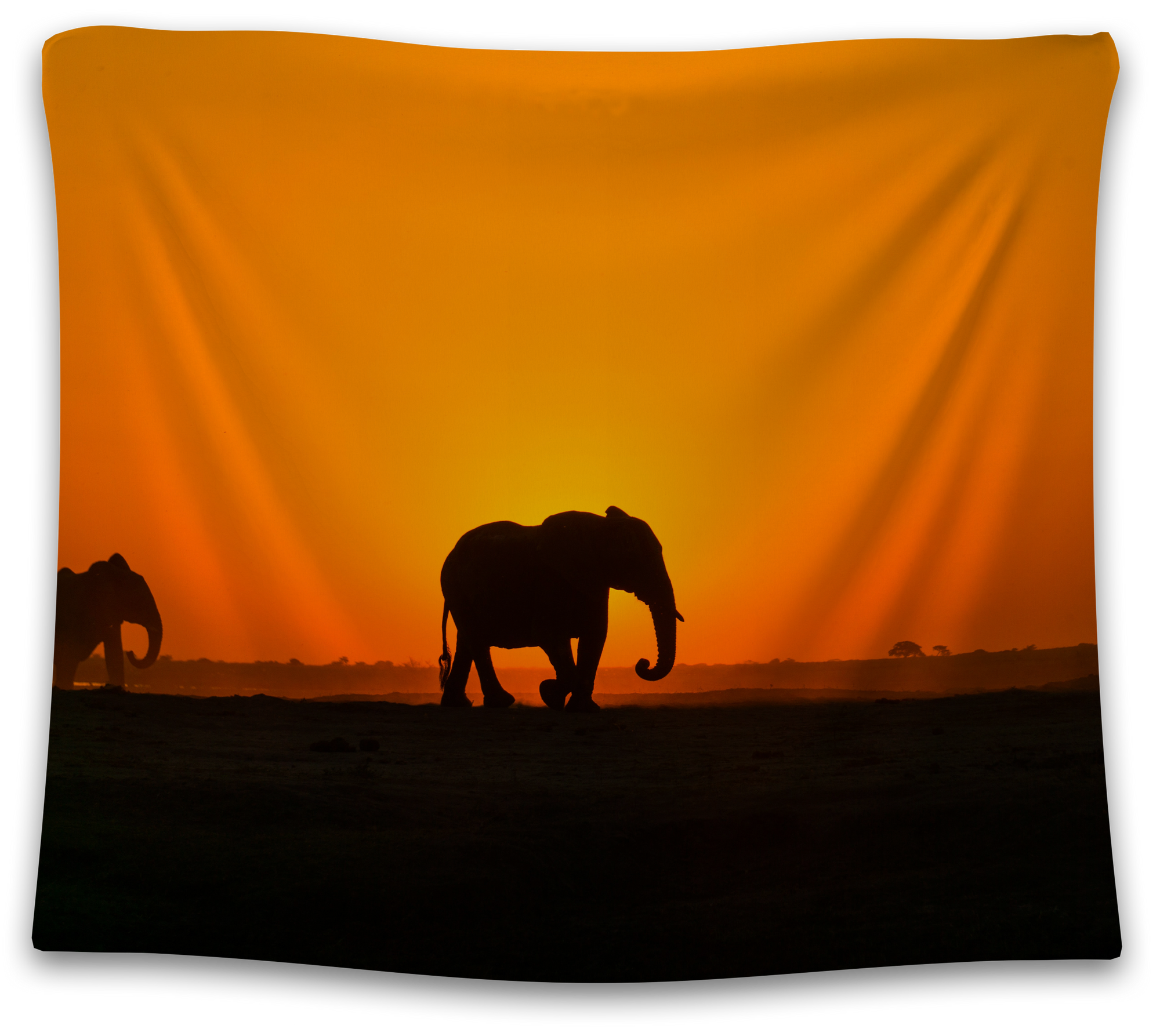 African Elephant Tapestry - CollegeWares