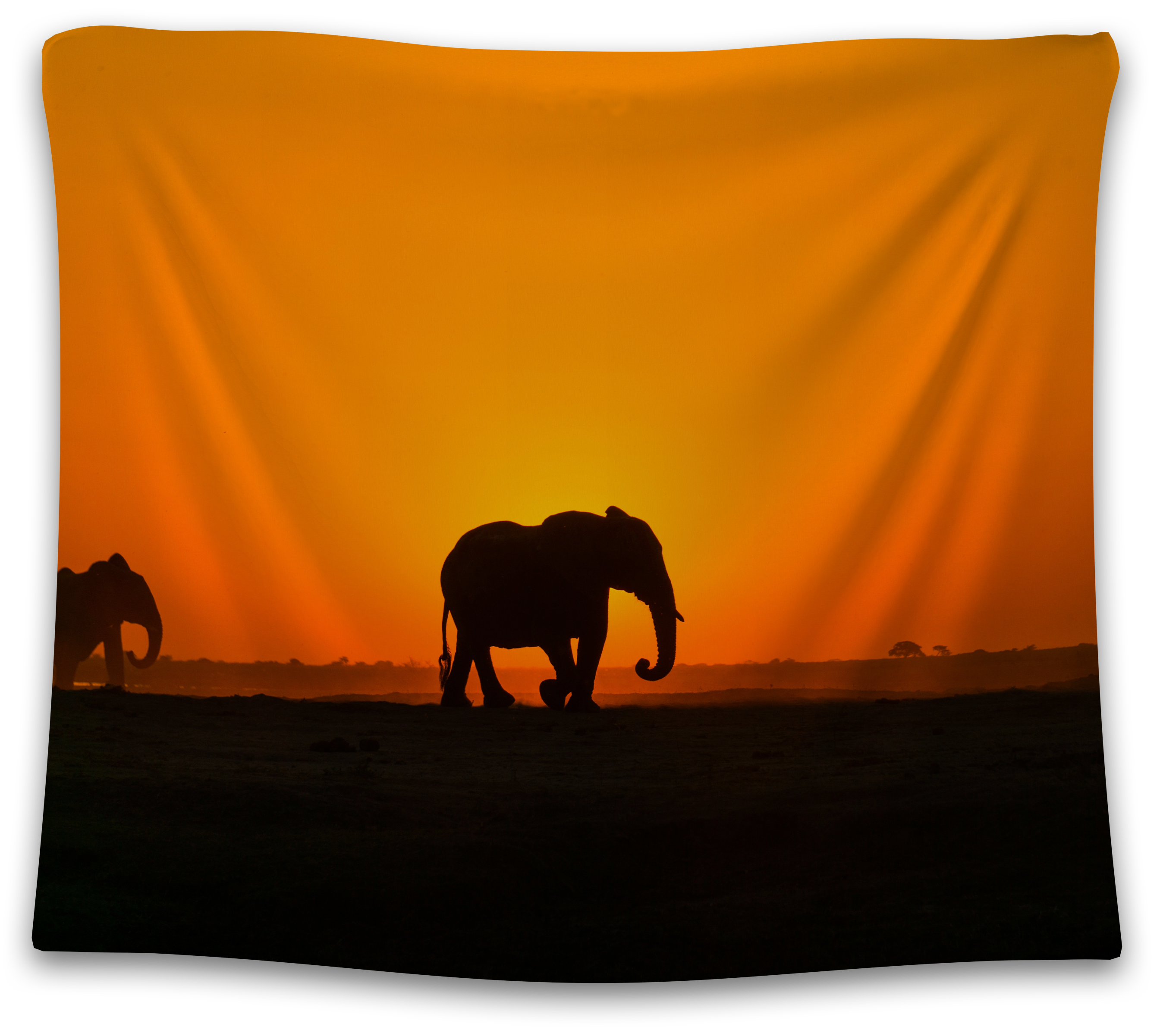 African Elephant Tapestry - CollegeWares