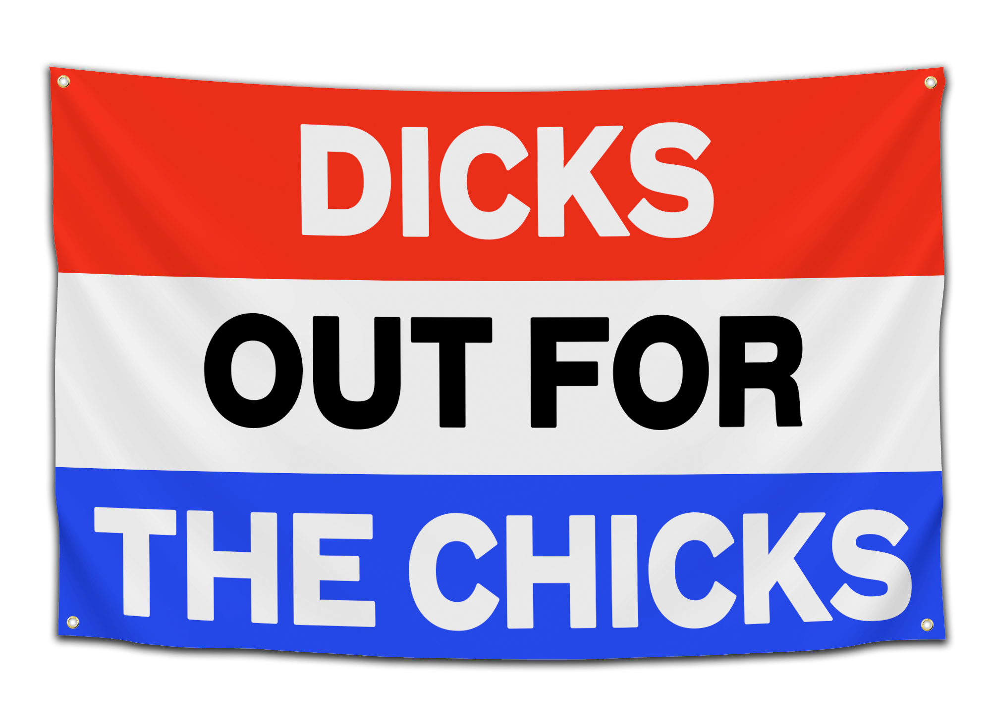 Dicks Out For The Chicks Flag - CollegeWares